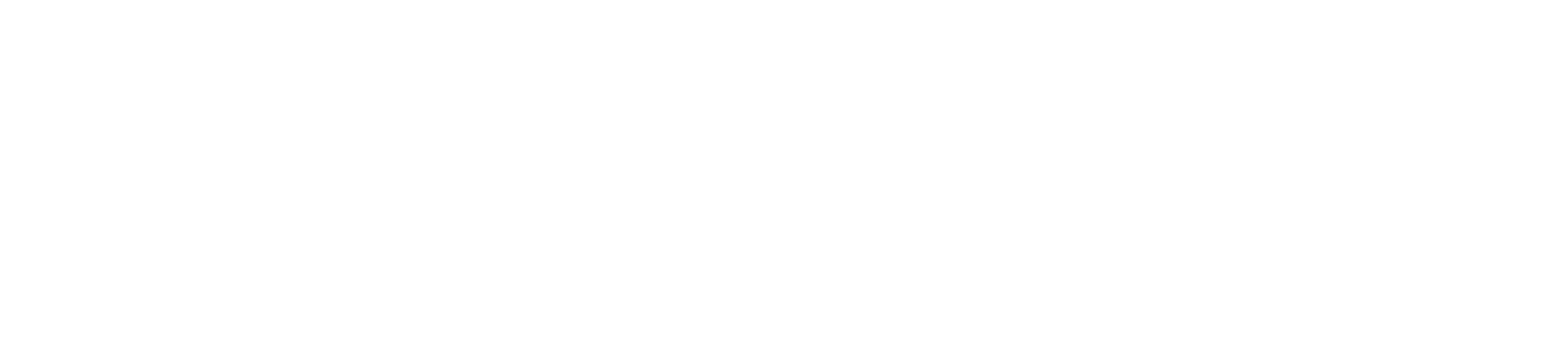 Playfly Sports